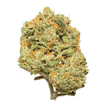 Citron CBD bud