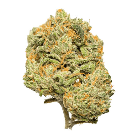 Citron CBD bud