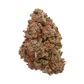 Orange Glaze cbd hemp flower bud