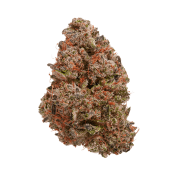 Orange Glaze cbd hemp flower bud