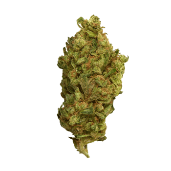 Rainbow Sherbet cbd hemp flower bud