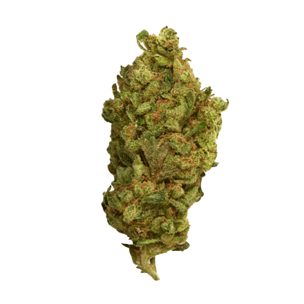 Rainbow Sherbet cbd hemp flower bud