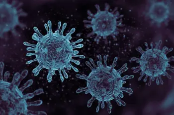 Image for CBD and Other Cannabis Compounds Could Prevent and Treat COVID-19