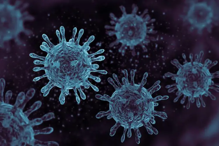 Image for CBD and Other Cannabis Compounds Could Prevent and Treat COVID-19