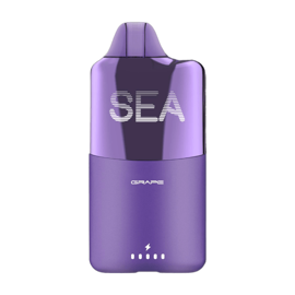 sea 15000 disposable vape in full view