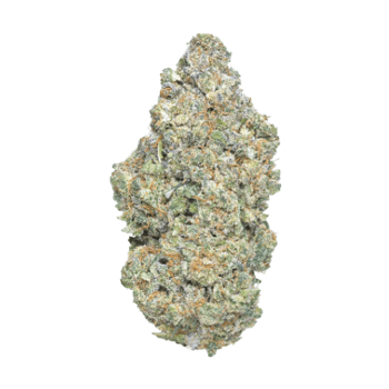 secret nature dough boy cbd flower in full view