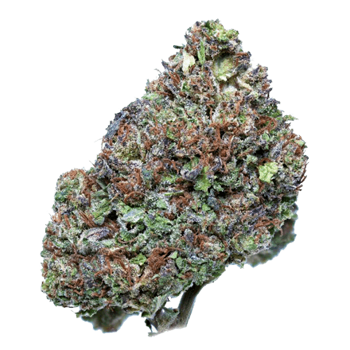 Secret OG CBD Flower