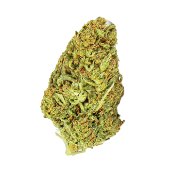 Sour Diesel cbd hemp flower bud