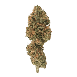 special sauce cbd bud