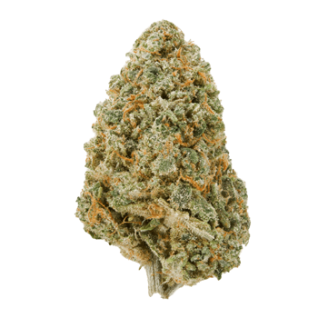 Super Suver Haze cbd bud