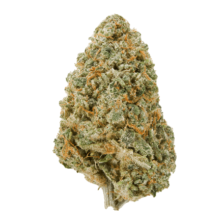 Super Suver Haze cbd bud