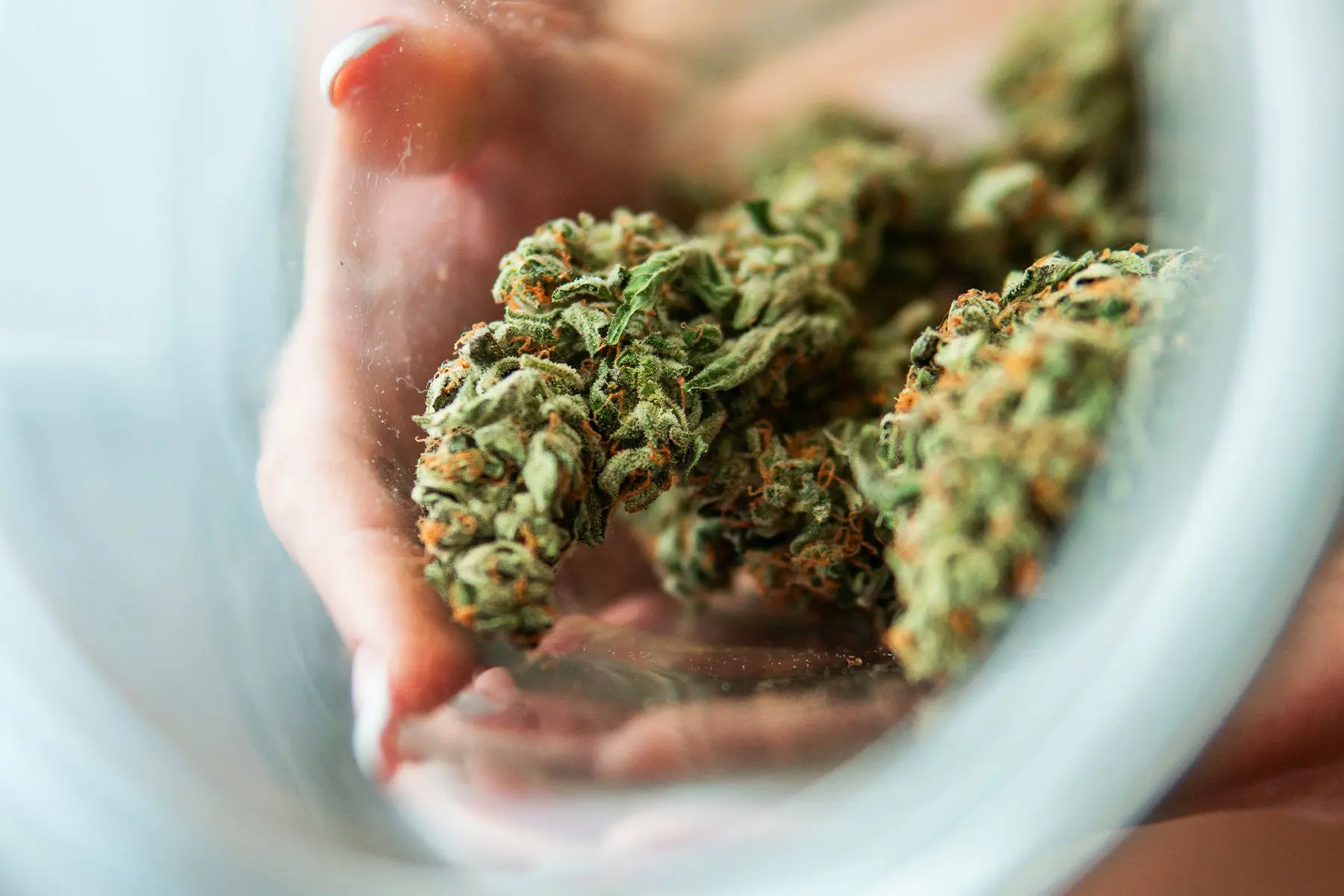 where to buy cannabis online