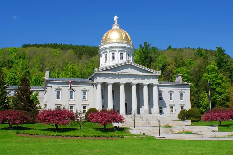 Image for Vermont-Haus genehmigt Verbot von aromatisierten Vapes/Zigaretten