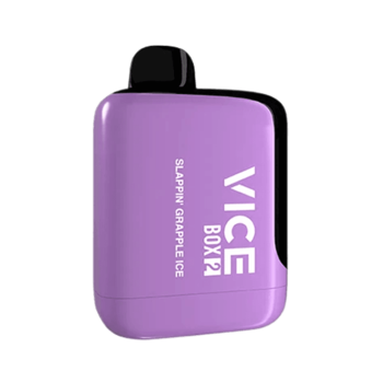 vice box 2 disposable vape in full view