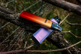 raz georgia peach flavor Georgia Peach RAZ LTX DC25000 Vape