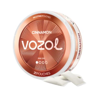 rezensionen für vozol vapes Vozol Vista Plug