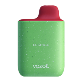vozol star 4000 disposable vape in full view