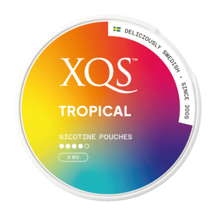 xqs nicotine pouches in full view